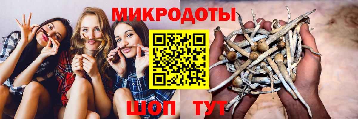 Бузулук  Галлюциногенные грибы прущие грибы  Вход с VPN 